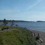 chambers creek regional park