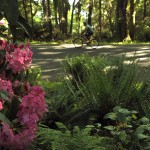 Point Defiance Park Trails