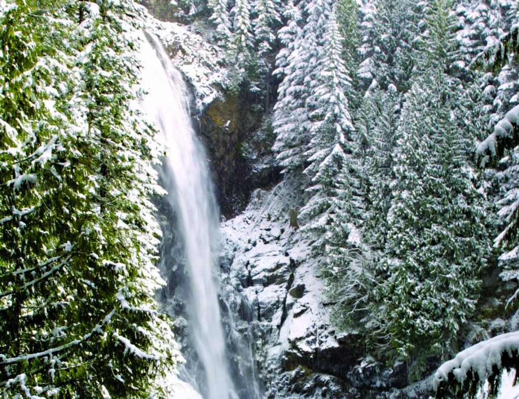 Great Winter Hikes in the South Sound and Beyond - SouthSoundTalk