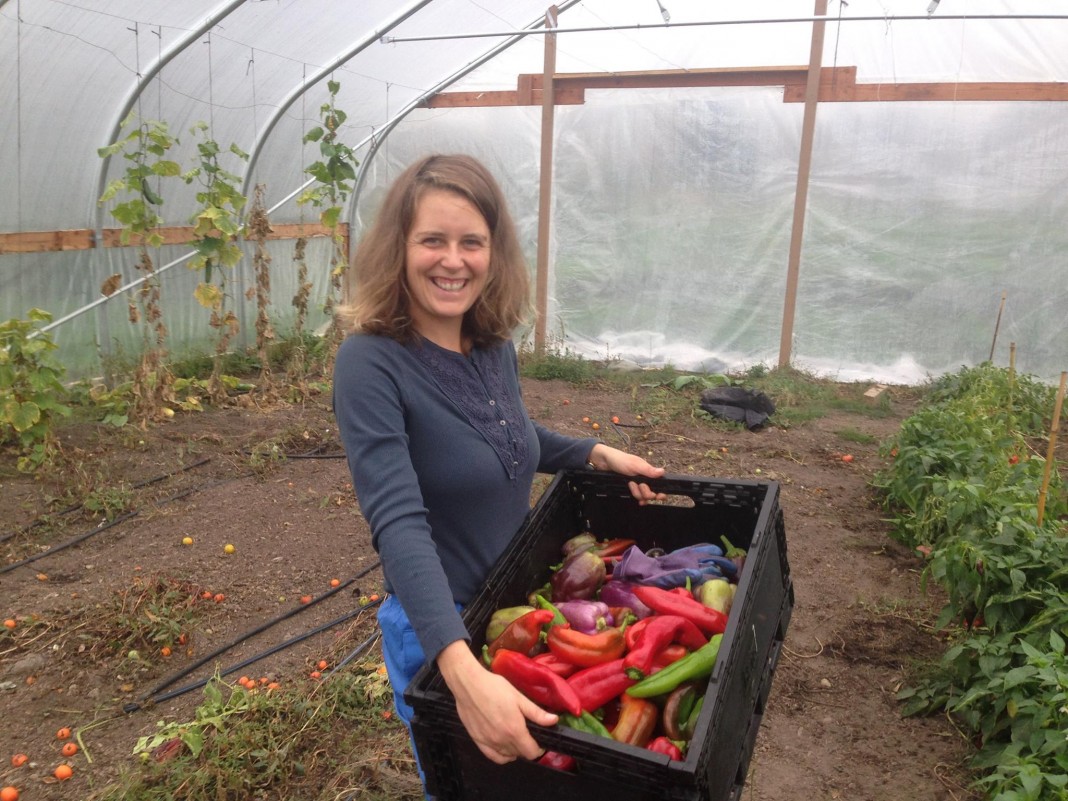 Tacoma Reaps the Rewards of Community Gardening - SouthSoundTalk