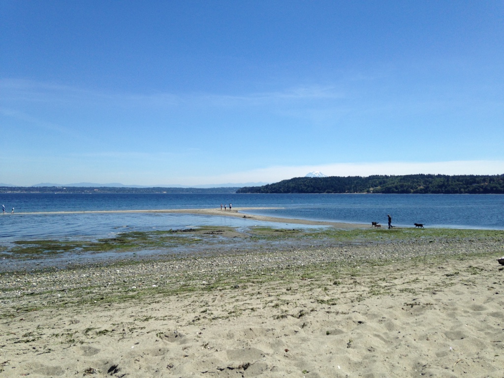 KVI Beach on Vashon Island: A Hidden Gem for Travel Enthusiasts