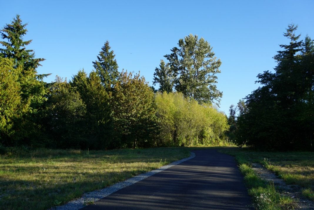 swan creek mountain bike park