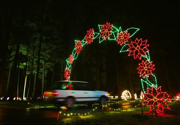 14 Must Do Events and Experiences in Pierce County This Holiday Season ...