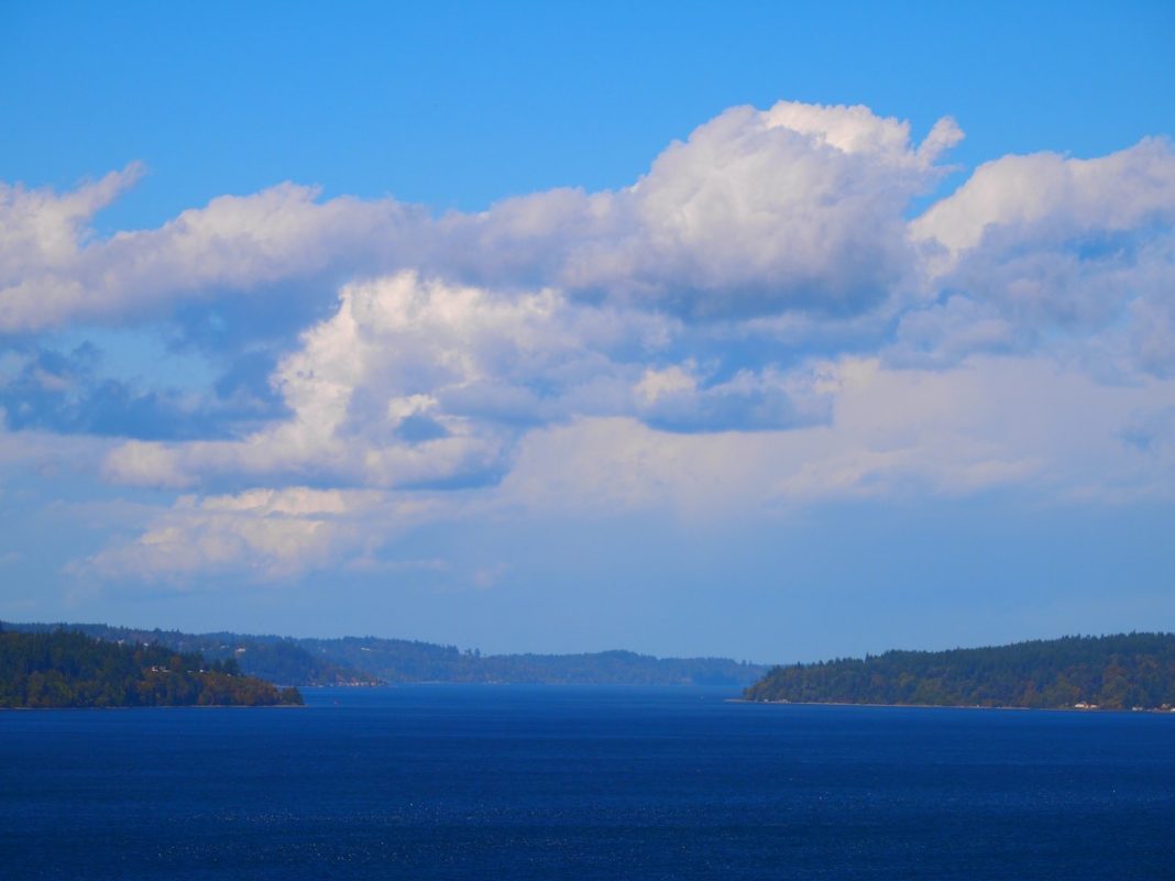 Go Whale Watching at Point Defiance - SouthSoundTalk