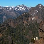 Olympic Peninsula Goats