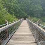 Tacoma Nature Center Bridge