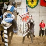 Washington Midsummer Renassiance Faire Yetter Knights