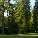 Whatcom County Golf Courses – Lake Padden