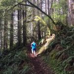 Trail runs Exploring forests