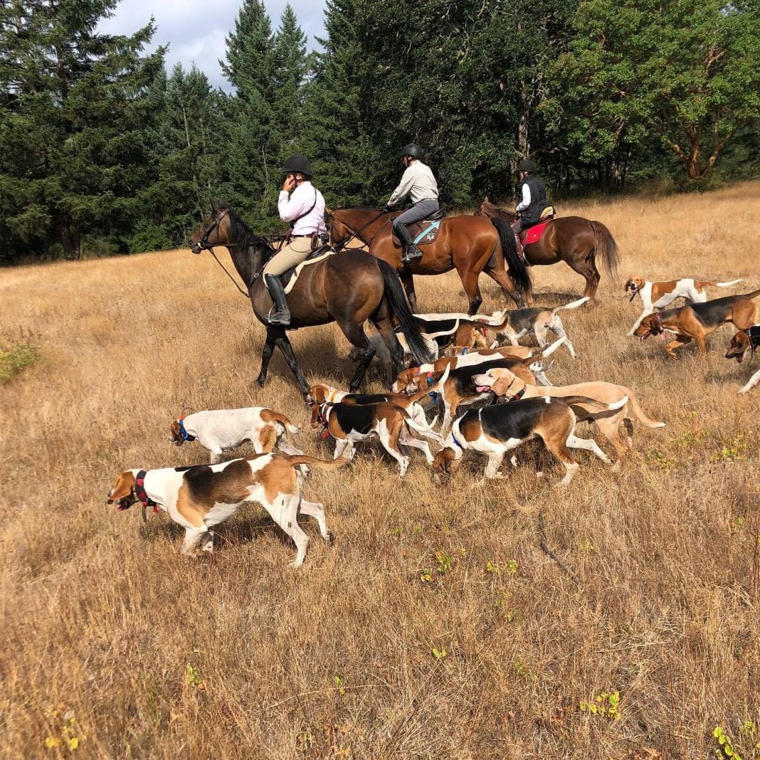 Tally Ho! Woodbrook Hunt Club Has Made Foxhunting in the South Sound a