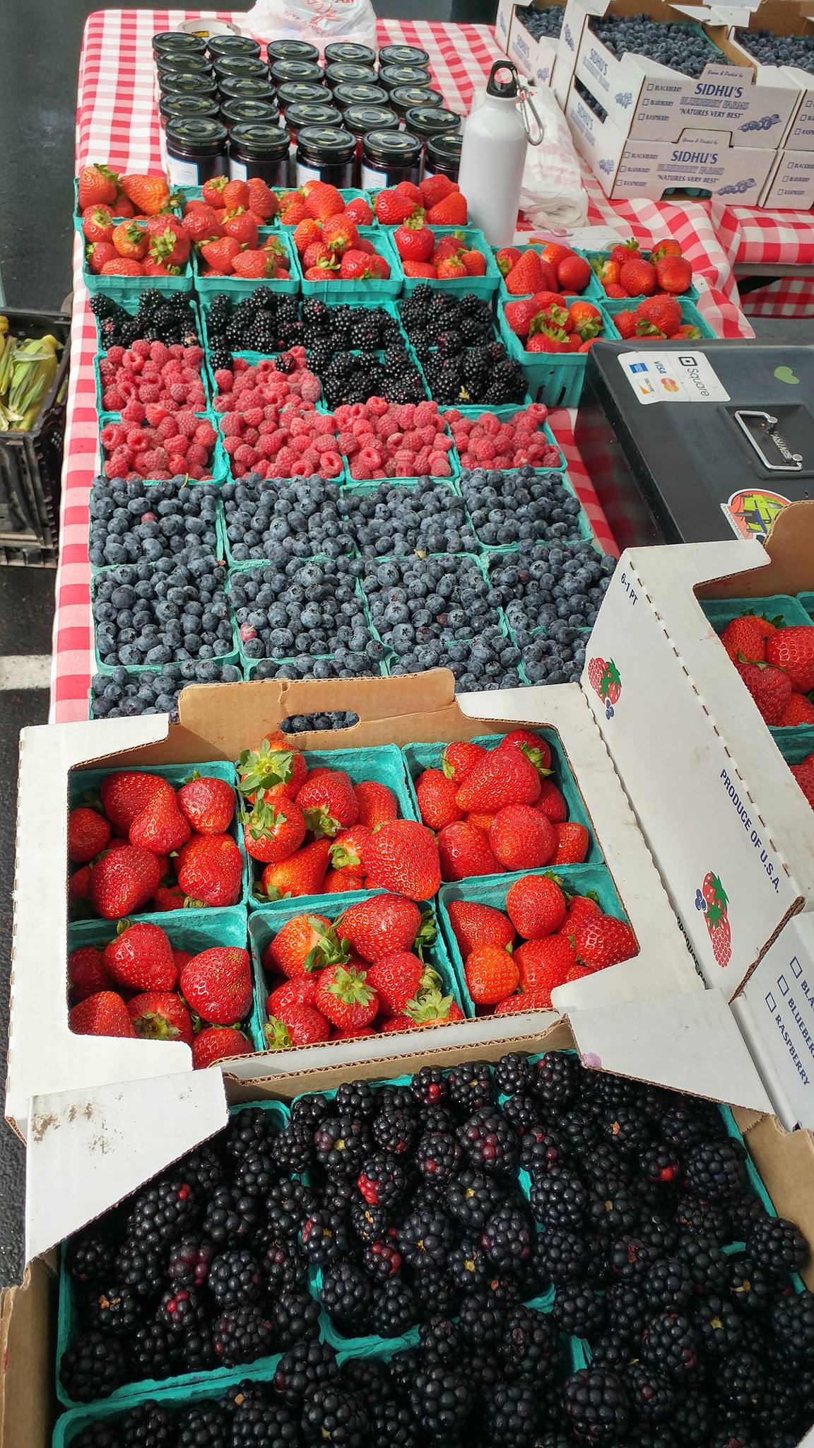 Steilacoom Farmers Market -4 - SouthSoundTalk