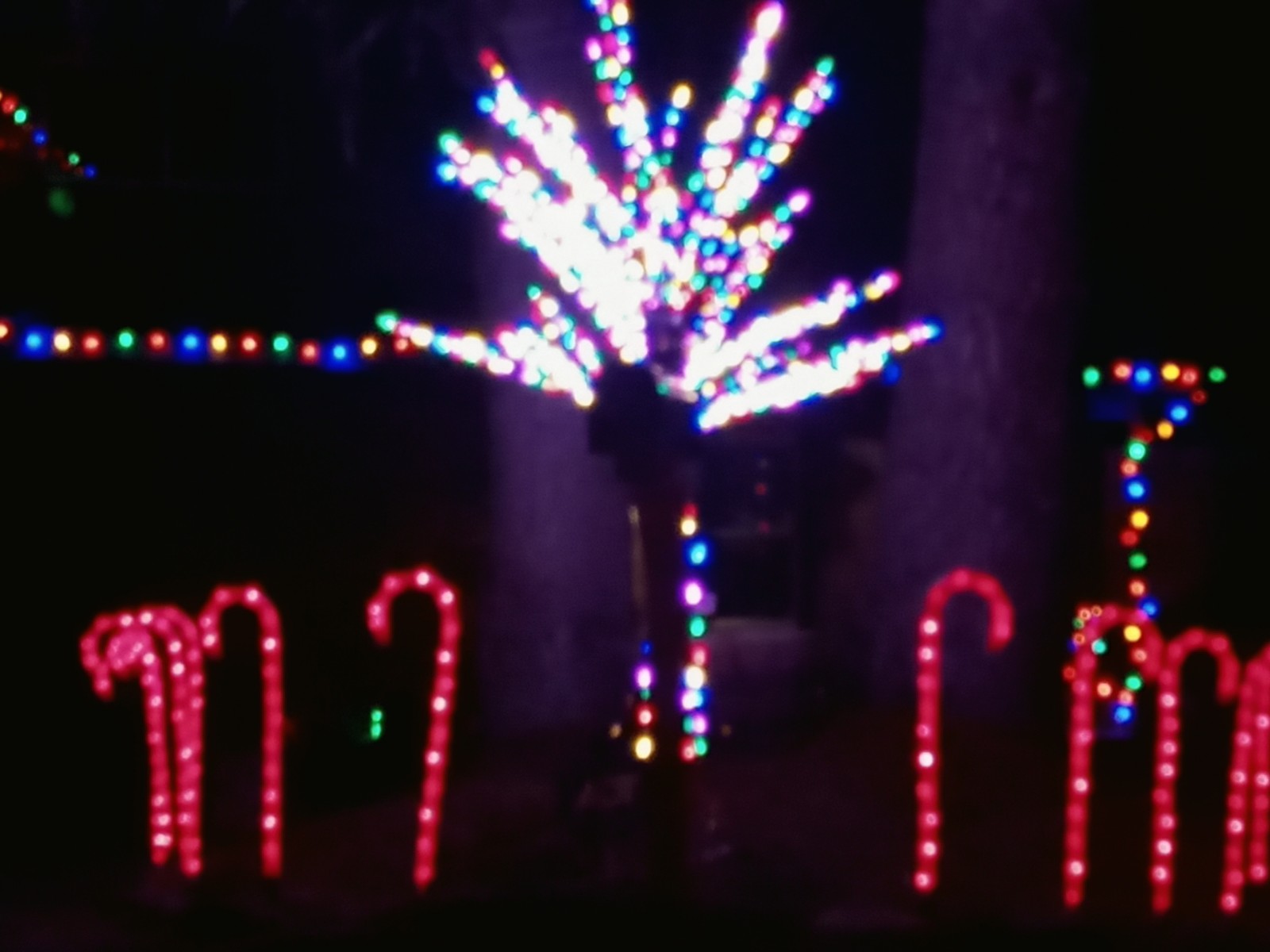 Pierce County 2020 Holiday Lights Dazzle and Delight - SouthSoundTalk