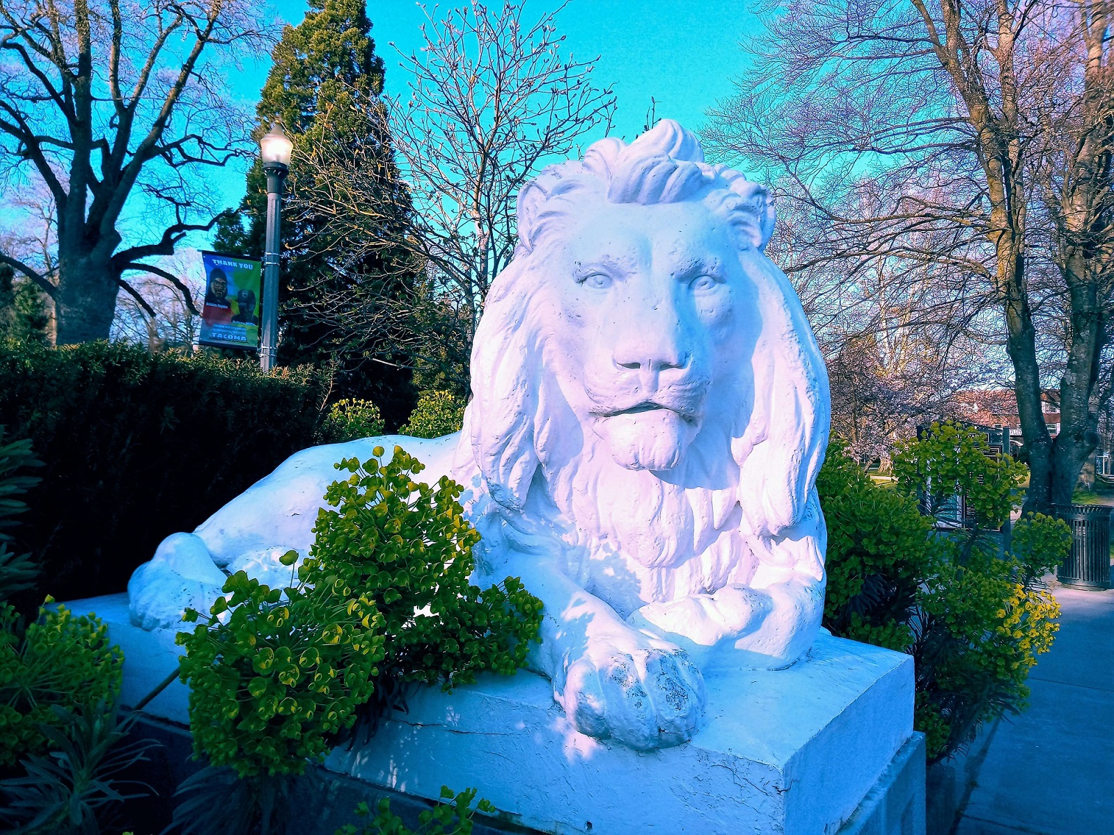 Wright Park Entrance Guarded By Larger-than-life Statues Of Lions 