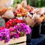 Evergreen Organic Farm Flowers