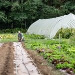 Evergreen Organic Farm Planting