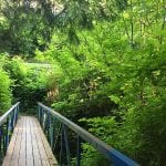 Elton Bennett Trail bridge Hoquiam