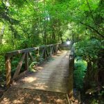 Rock Candy bridge