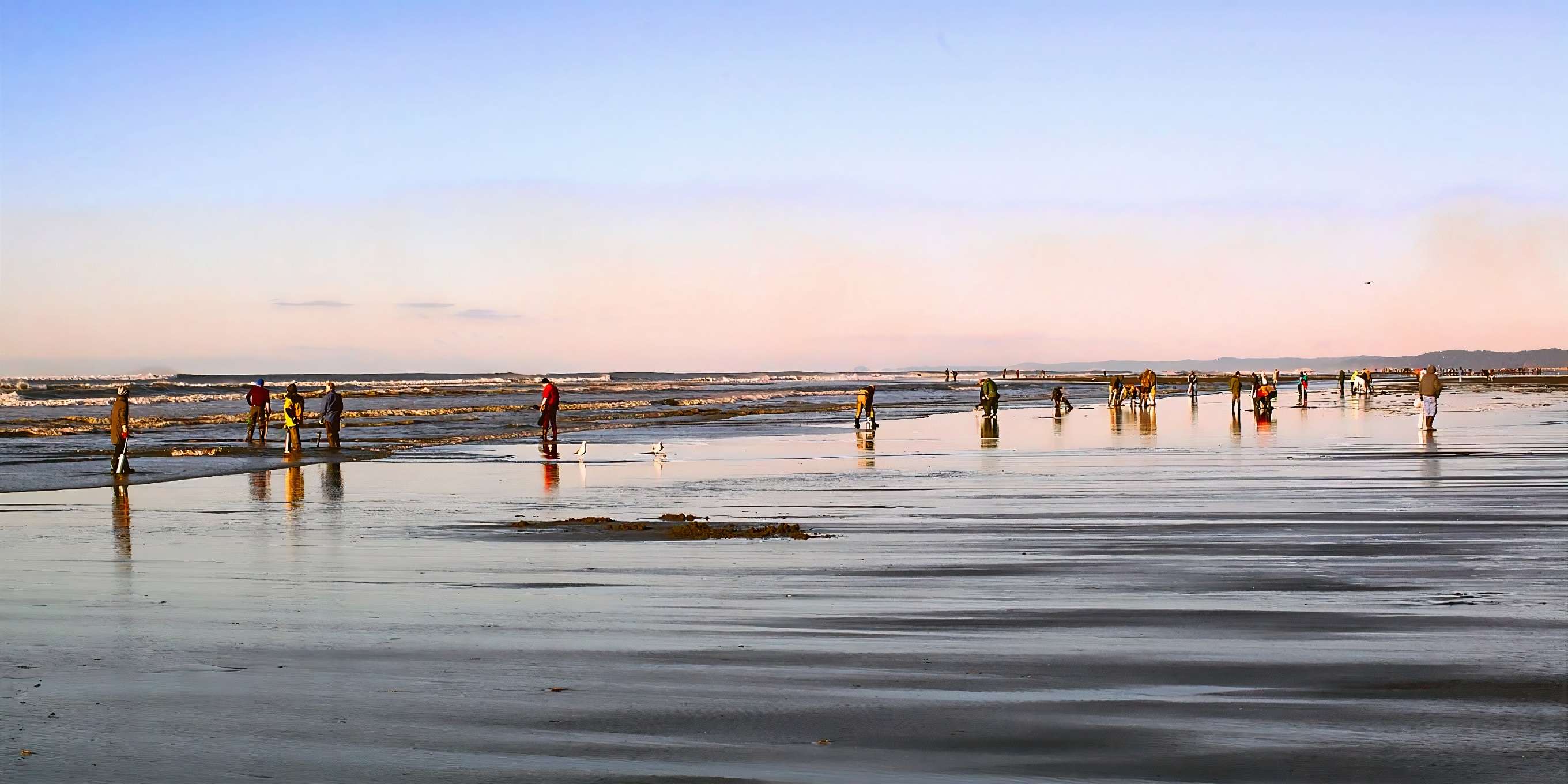 Ocean Shores Razor Clam and Seafood Festival SouthSoundTalk