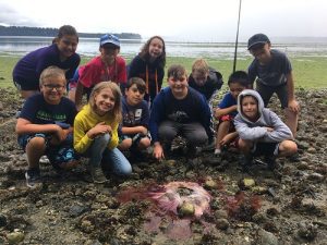 Classic Beach Summer Camps  for 4th and 5th graders @ Nisqually Reach Nature Center