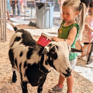 Animal Encounters @ Hands On Children's Museum