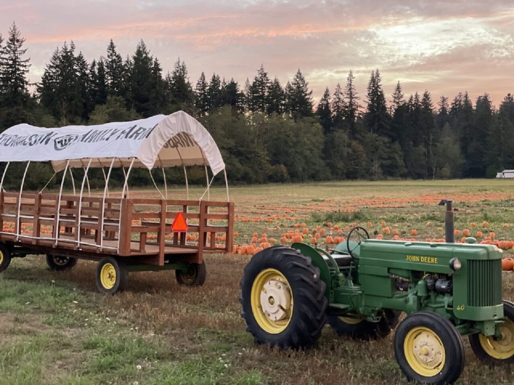 2024 Pumpkin Patches Corn Mazes in Pierce County