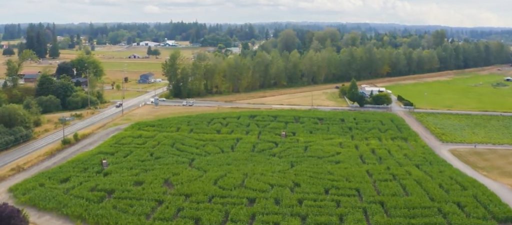 2024 Pumpkin Patches Corn Mazes in Pierce County